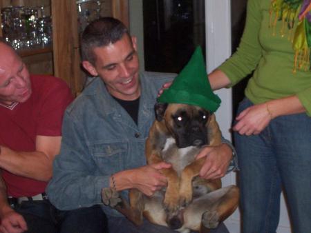 le ptit lutin